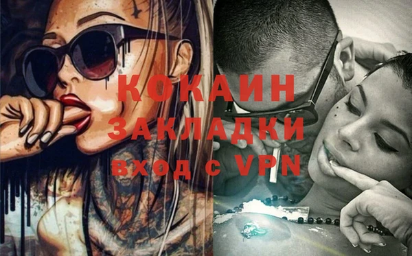apvp Инта